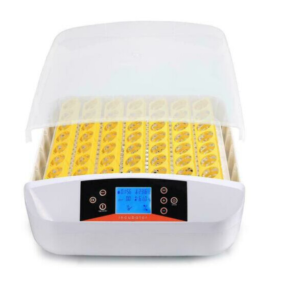 Automatic Digital 7/12/48/56 Egg Incubator Hatcher Turning Temperature E image {3}