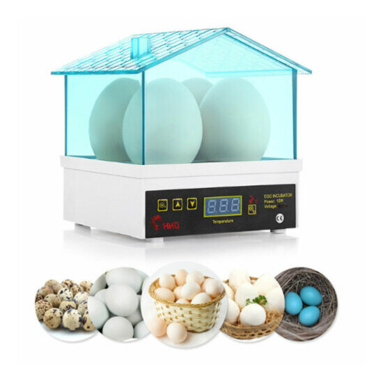 Egg Incubator, Mini Digital Semi Automatic Egg Hatcher 4 Eggs Hatching Machine image {1}