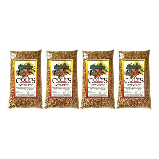 Cole's HM20 Hot Meats Bird Seed, 20-Pound, Pack of 4 image {1}