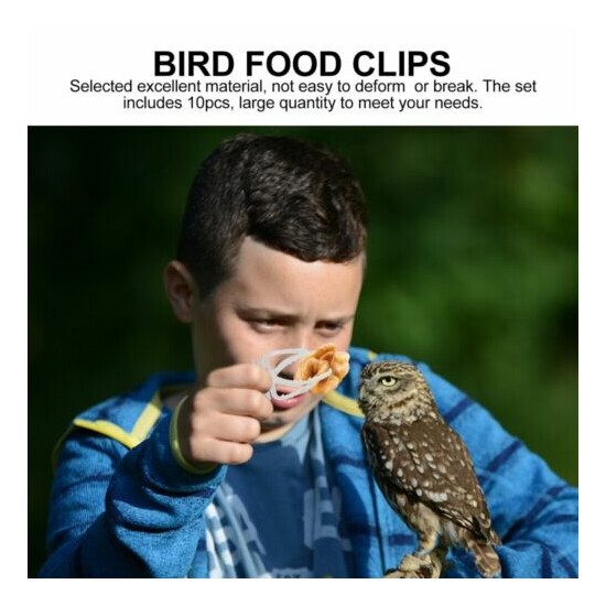 10pcs Bird Cage Food Fixing Clamp Reliable Simple Bird Food Clamp for Bird Cage image {2}