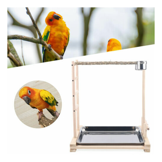 Pet Bird Parrot Wood Stand Stick Frame Game Playing Cage Perch+Metal Food Cups image {1}