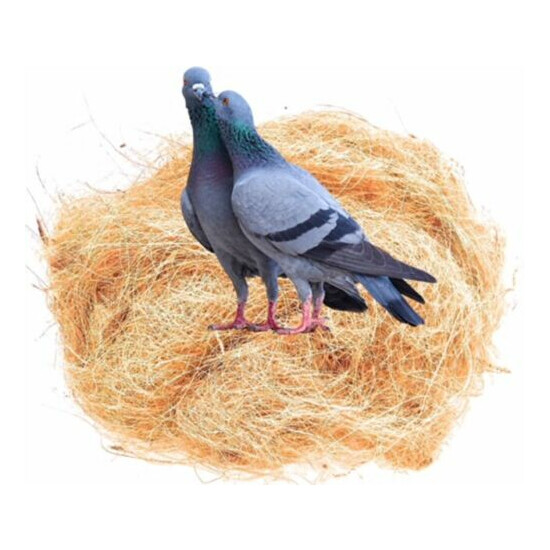 GAPS Coconut Fiber for Bird Nest, Chicks Nest Box - Nest Building/Hideouts, 5 oz image {1}