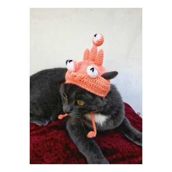 Pet Clothes Outfit Crochet Hat Cat Small Dog Handmade Kitten Pet Hat costume image {1}