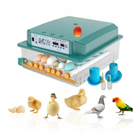 16/36 Egg Incubator Digital Automatic Turner Hatcher Chicken Temperature Control image {1}