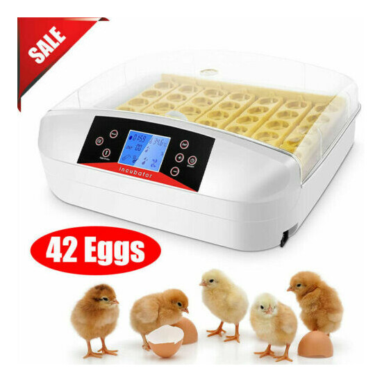 42 Digital Egg Incubator Hatcher Temperature Control Automatic Turning USA image {1}
