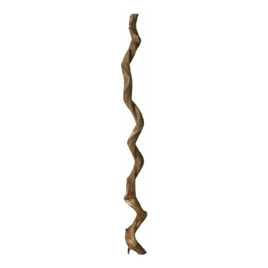 Prevue Pet Products Wacky Wood Lima Root Bird Perch Toy, 36-Inch, Brown New image {3}