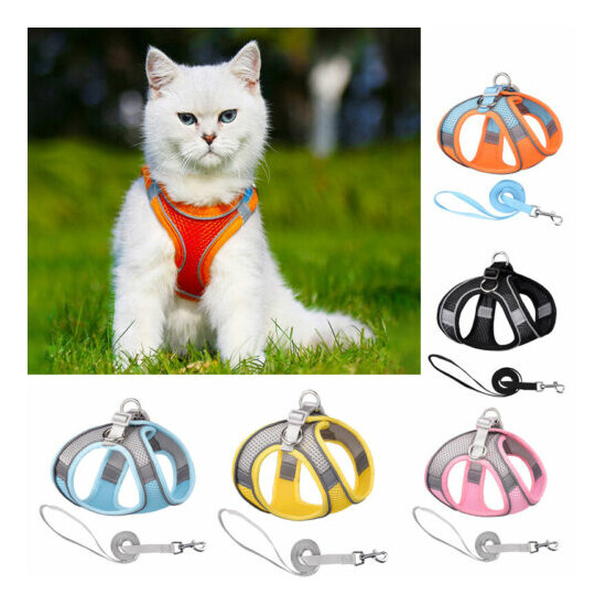 4 Size Adjustable Escape Proof Cat Harness with Leash Reflective Collar Cat Harn image {1}