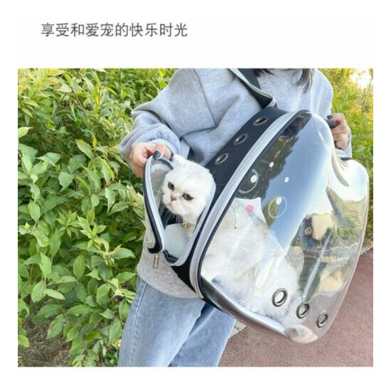 Portable Cat Carrier Bag Puppy Transparent Capsule Travel Backpack Pet Supplies image {2}