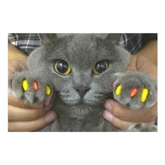 Nail Paw Claw Control Soft Silicone Covers Protective Caps Cat Kitten Size 20pcs image {1}