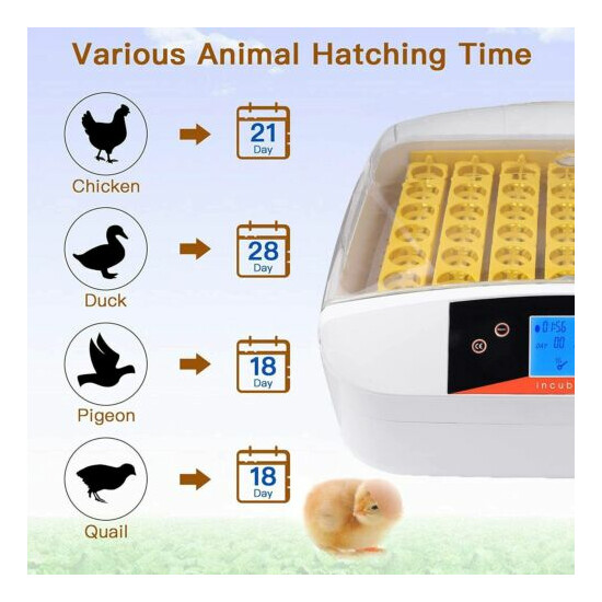Egg Incubator 55 Practical Fully Automatic Poultry with Egg Candler Temp Control image {5}