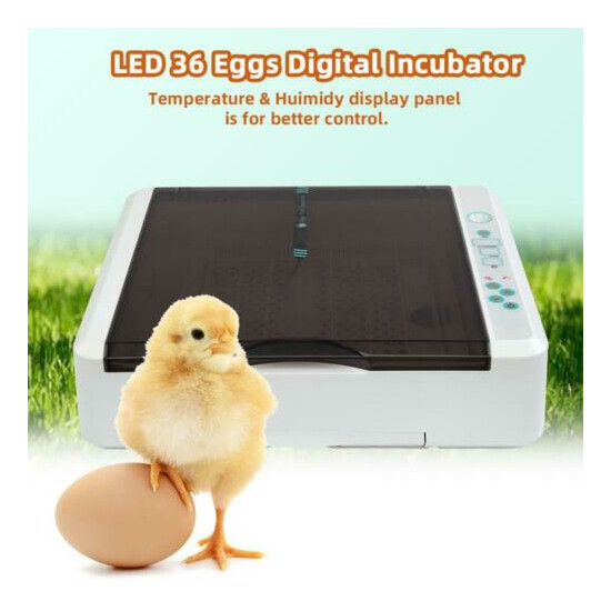 New Duck Bird Goose 36 Egg Practical Fully Automatic Poultry Incubator White Thumb {1}