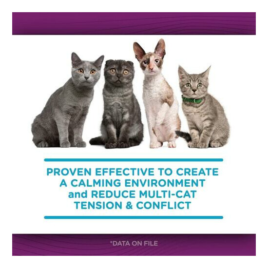 6-PACK Comfort Zone Feliway 48 ml REFILL for Diffuser Cat Behavior Stress Relief image {8}