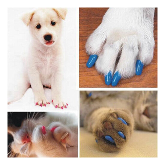 20Pcs Silicone Cat Nail Caps Tips Colorful Soft Paws Covers for Pet Kitty Claws image {3}