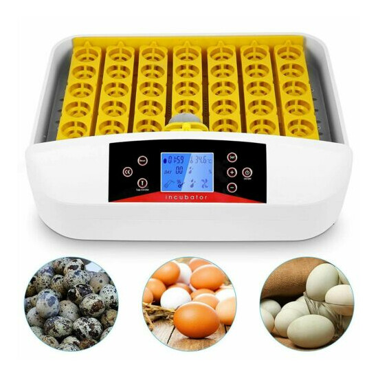 42 Digital Egg Incubator Hatcher Temperature Control Automatic Turning USA image {3}