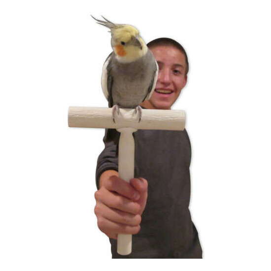 The Bird Trainer T-Perch - Portable T-Perch - For most Companion Birds/Parrots  image {5}