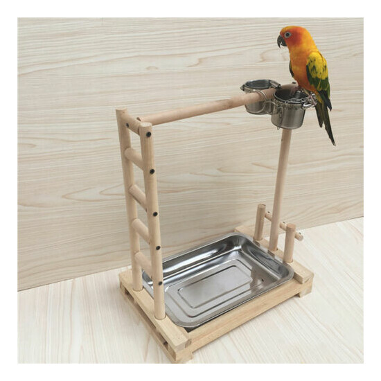 Pet Bird Parrot Wood Stand Stick Frame Game Playing Cage Perch+Metal Food Cups image {3}