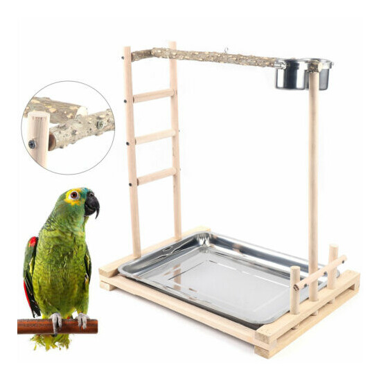 Parrot Tree Bird Stand Wood Stand Stick Perch Bird Tree Toy Playing+2 Food Cups image {3}