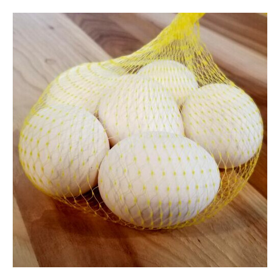 Pedigree Egg Hatching Bags - Strong Stretchable Plastic Mesh Incubator Hatch Bag image {3}