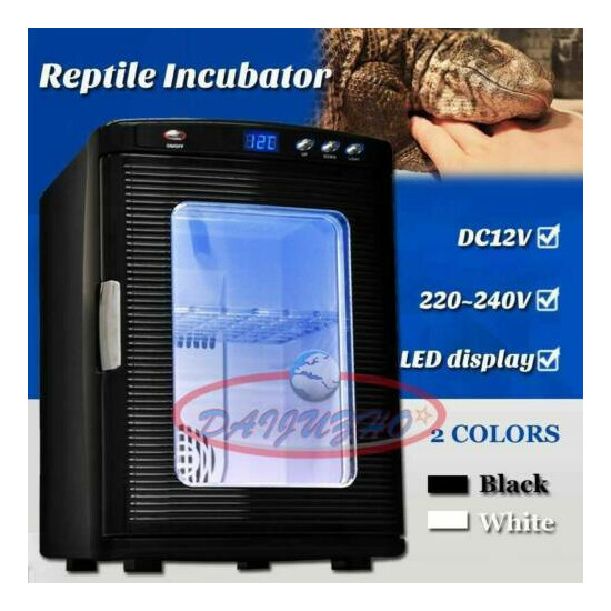 Automatic Reptile Incubator Egg Keeping Breeding Thermostat Tools High Quality image {1}