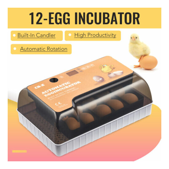 Home Class Lab Incubator for Chicken Eggs Duck Eggs Turkey Eggs Quail Eggs More image {1}