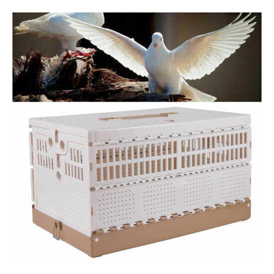 Folding Plastic Bird Cage Pigeon Carrier Box 2 Side Doors Poultry Pet Cage USA  image {1}