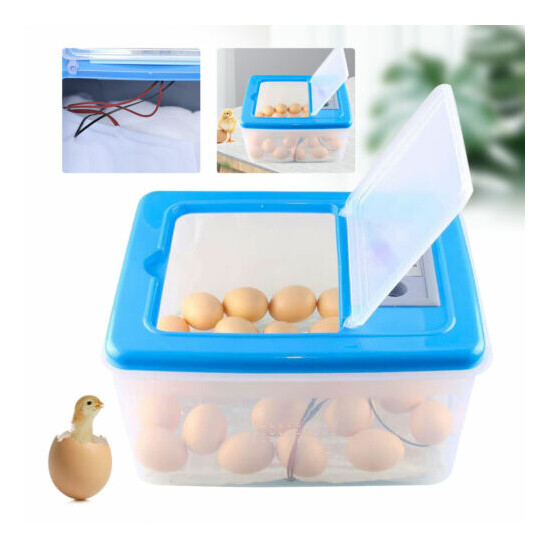  30W Chicken Hatcher Box Poultry Bird Parrot Eggs Brooder Premium Egg Incubator image {1}
