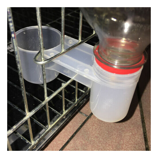 Plastic Pet Bird Drinker Feeder Water Bottle Cup cat Chicken Pigeon FI-dr image {1}