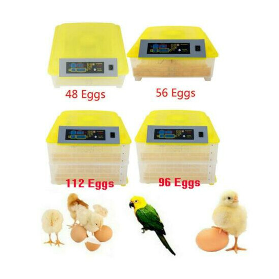 48/56/96/112 Egg Incubator Chicken Temperature Control Automatic Turning image {1}