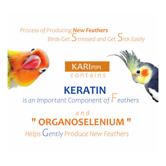 600g Karipipi Parakeete Medium Pellet Grain Food Medium Sized Parrots,Sun Conure image {7}