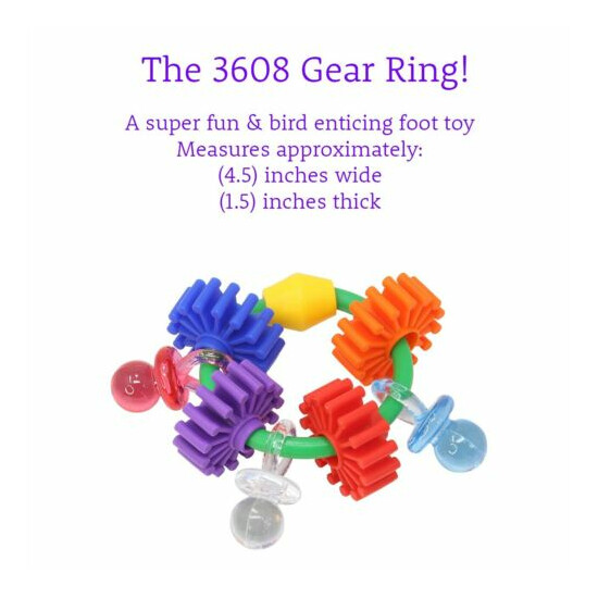 3608 Gear Ring Foot Talon Toy Parrot Birds Toys Craft Part Chewy Conure Amazon image {3}