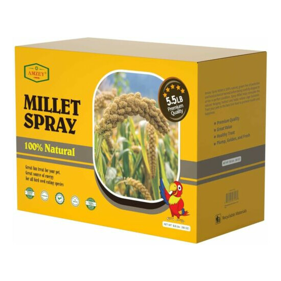22LB Amzey Spray Millet for Parakeets 100% Natural Dried Millet Grain for Birds image {2}