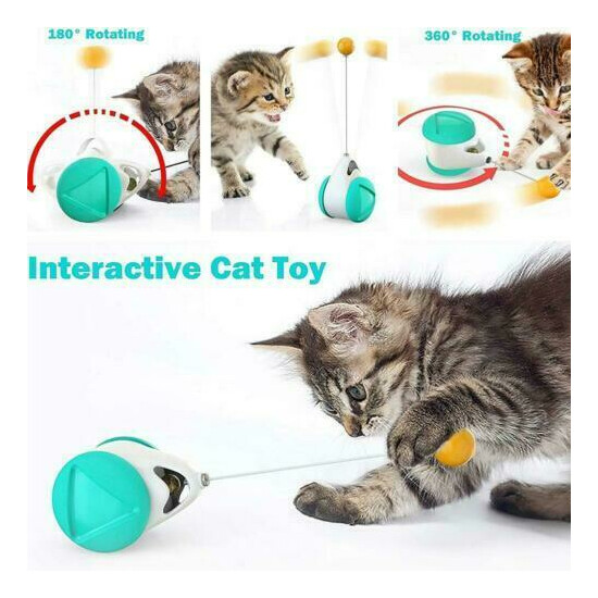 Tumbler Swing Toys for Cats Interactive Balance Car Cat Chasing Toy With Catnip image {4}