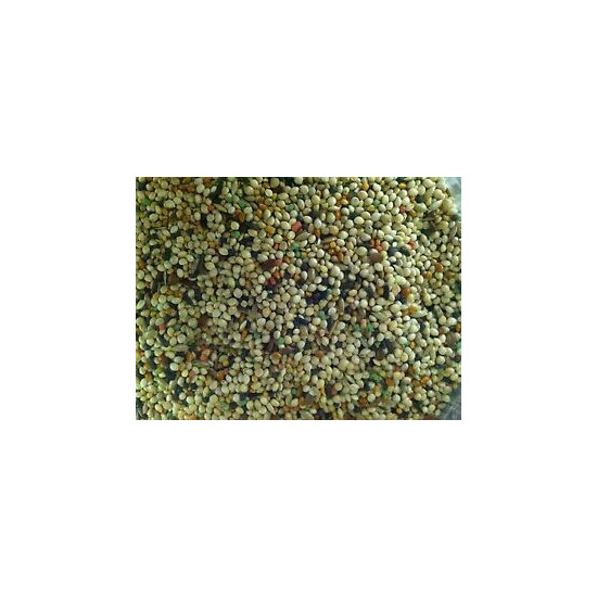 Independent's Choice Feed® Fortified Finch seed 10lbs for small birds image {1}