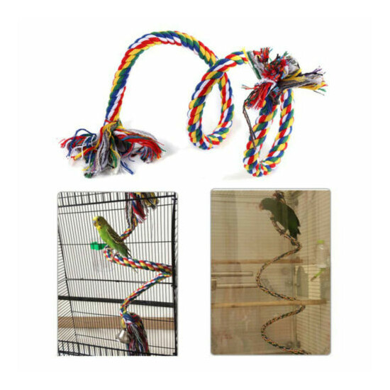 Bird Cockatiel Chew Climbing Ropes Budgie Bell Perch Coil Swing Cage Toy US image {5}