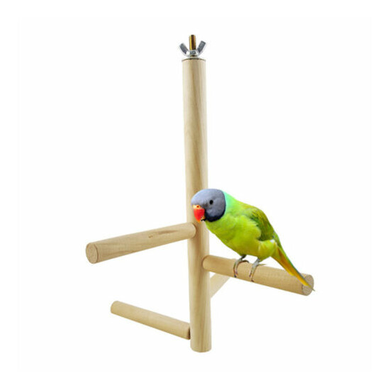 Parrot Bird Perch Toys Wooden Activity Branches Climbing Stairs Grinding Stick image {3}