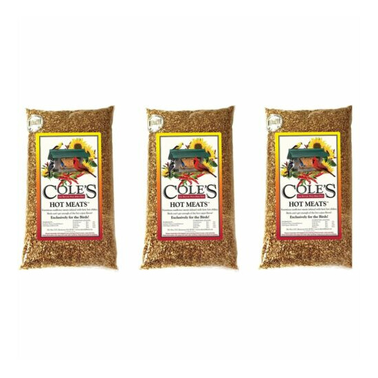 Coles Wild Bird Products, Bird Seed Hot Meats- 10 lbs, 3 Pack image {1}