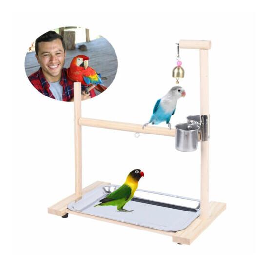 Tabletop Parrot Shelf Bird Playstand Bird Playground Gym With Feeder Cups Dishes image {1}