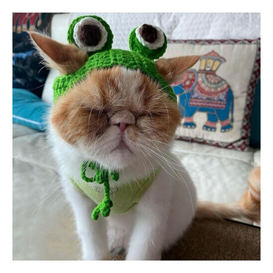 Cute Pet cat Kitten frog prince Hat Tiara Knit Headgear Decorative Xmas Decor image {2}