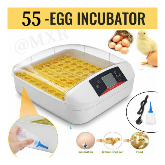 Digital Chicken 55 Eggs Incubator Hatcher Temperature Control Automatic Turning image {1}