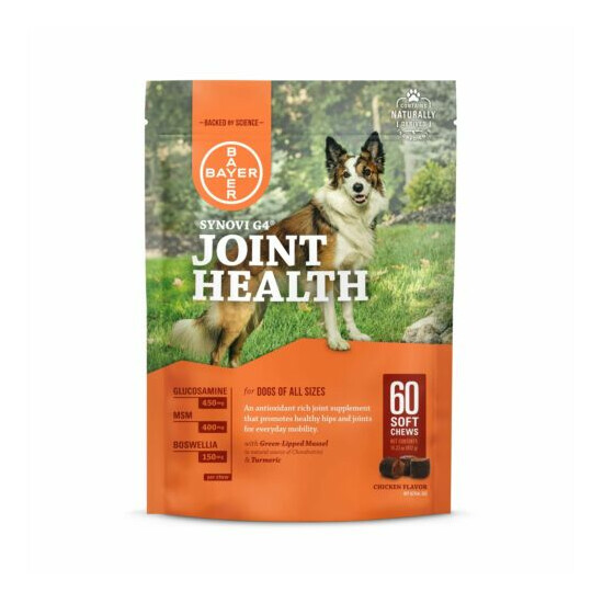 Synovi G4 Dog Joint Supplement Chews for Dogs of All Ages, Sizes and Breeds image {1}