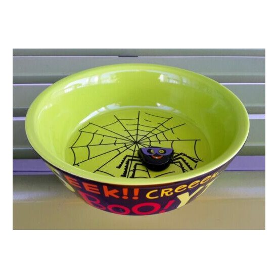 HALLMARK 2009 Halloween Ceramic Spider Web 3D Candy Dish Treat Bowl CAT DOG FOOD image {2}