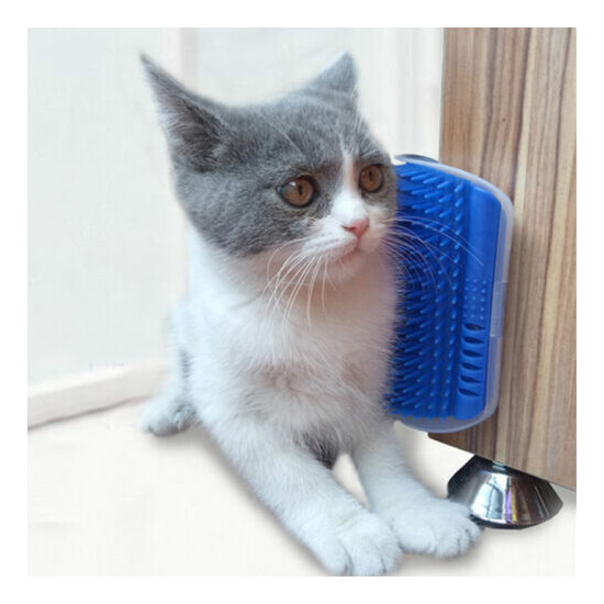 Pet Tool Hair Removal Brush Comb Scratch Massage with Catnip Safety Pet Supplies image {1}