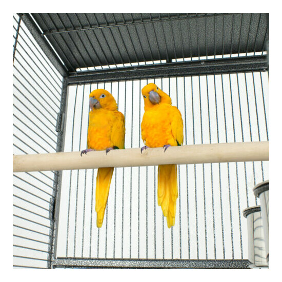 61" Large Bird Cage Large Play Top Parrot Finch Cage Pet Supplies Removable Part image {4}