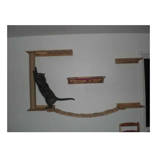 Cat Shelves/ Cat Play/ Relax Center image {3}