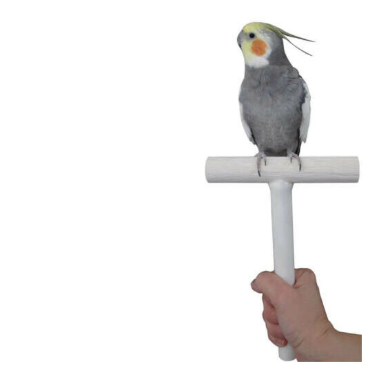 The Bird Trainer T-Perch - Portable T-Perch - For most Companion Birds/Parrots  image {1}