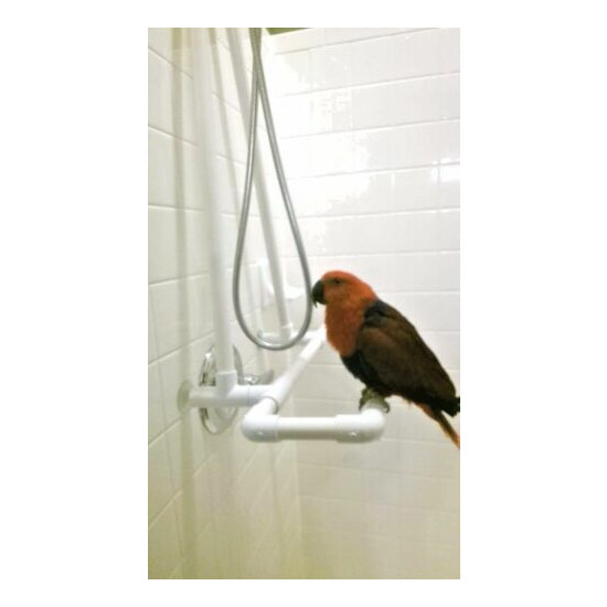 Medium Shower \ Bath Perch Stand,Conure, Gray, Amazon Parrots **FREE SHIPPING image {1}