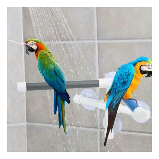 PVC Bird Bath Shower Bathing Perch Stand with Suction Cup for Parrot Macaw image {1}