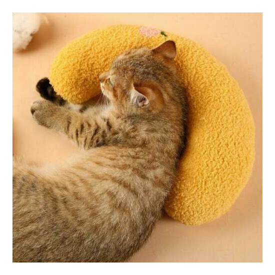 Pet Cat Pillow Play Toys Chew Crazy Grinding Soft Toy Gift Catnip image {7}