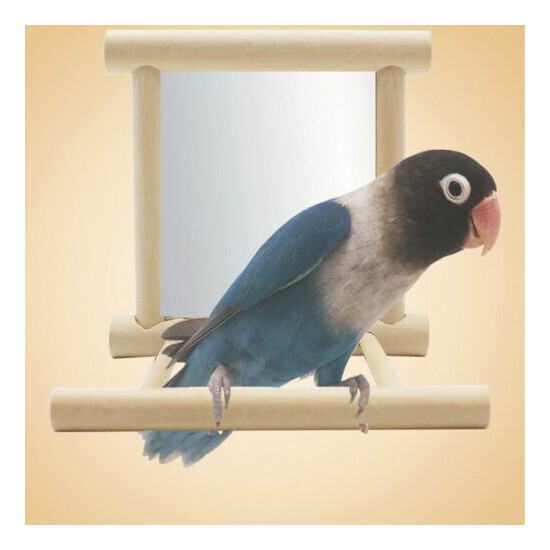  Wooden Bird Toy Mirror Stand Platform Toys For Parrots Cockatiel Vogel Filmy  image {1}