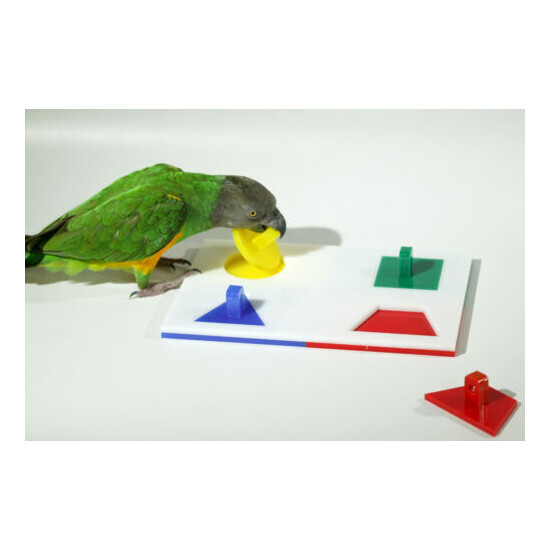 Birdie Puzzle - Medium 4 Shape Puzzle Trick Toy for Parrot - Free Shipping image {1}